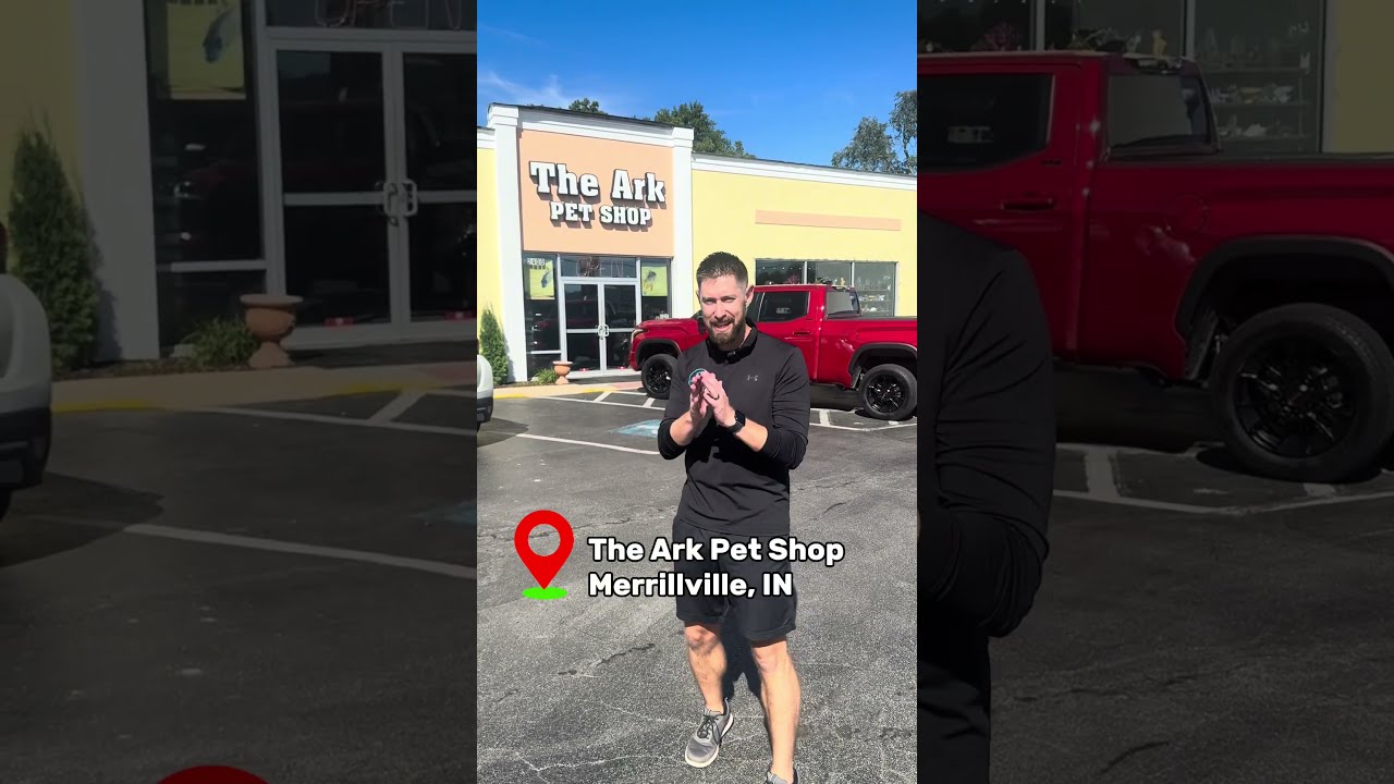 Incredible Store Tour: The Ark Pet Shop