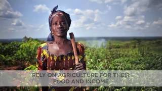 FAO's work on protecting, saving & restoring agricultural livelihoods