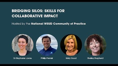 Bridging Silos: Skills for Collaborative Impact