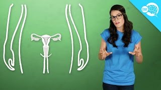 How Do IUDs Work? How Do IUDs Work?