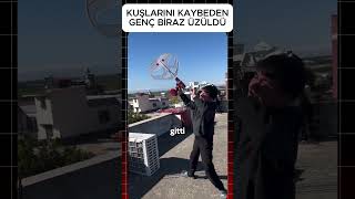 Güvercinlerini Kaybeden Genç Biraz Üzüldüüvercin