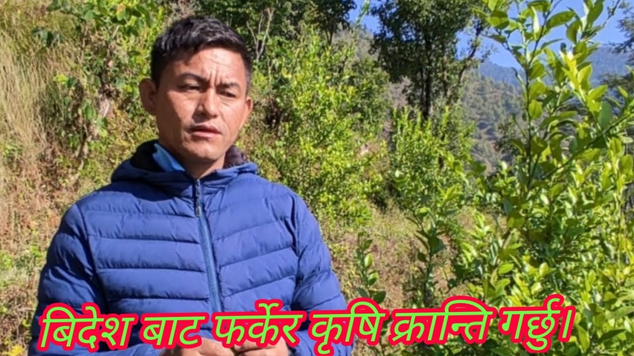 बिदेश बाट फर्केर कृषि क्रान्ति गर्छु।agricultural revolution in nepal.