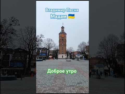 Владимир Песня / Мадам Українською #shortvideo #short #music