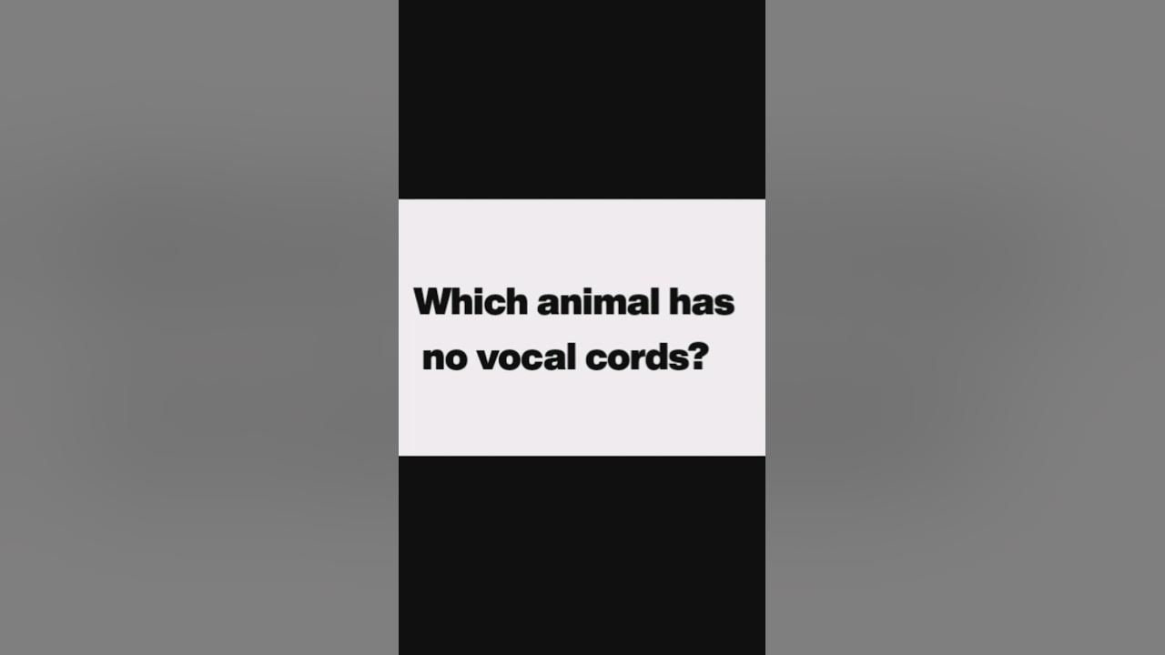Which animal has no vocal cords?gkquiz education fact gkquestion 