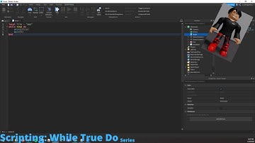 Scripting: Using the while true do script