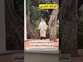 سفاح بن أحمد بعد تصرفات غير طبيعية قبل إرتكابه الجريمة المغرب 