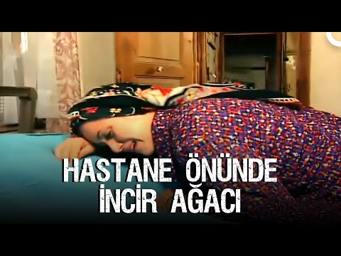 Hastane Önünde İncir Ağacı - TV Filmi