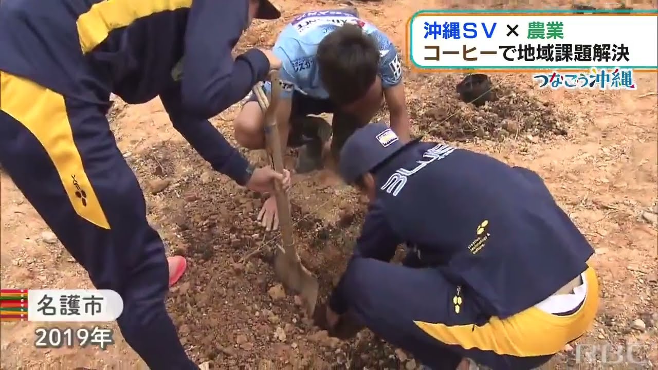 プロサッカーチームがなぜ農業！？　沖縄産コーヒーでビジネス展開を目指す