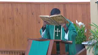 Fifteenth Sunday in Ordinary Time 11:30 AM Mass 7-11-2026