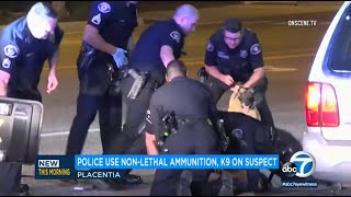 Police deploy rubber bullets, tear gas, K-9 unit after chase ends in Placentia I ABC7