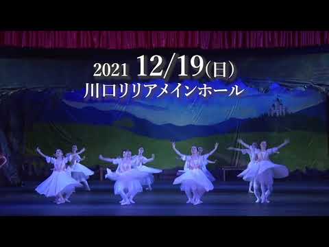 大人バレエ　出演者募集　白鳥の湖　全幕を一緒に作りましょう♪