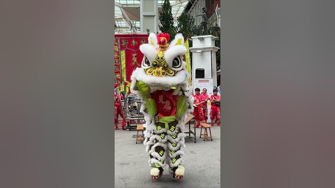 Auspicious traditional Lion Dance 2024 Auspicious traditional Lion Dance 2024
