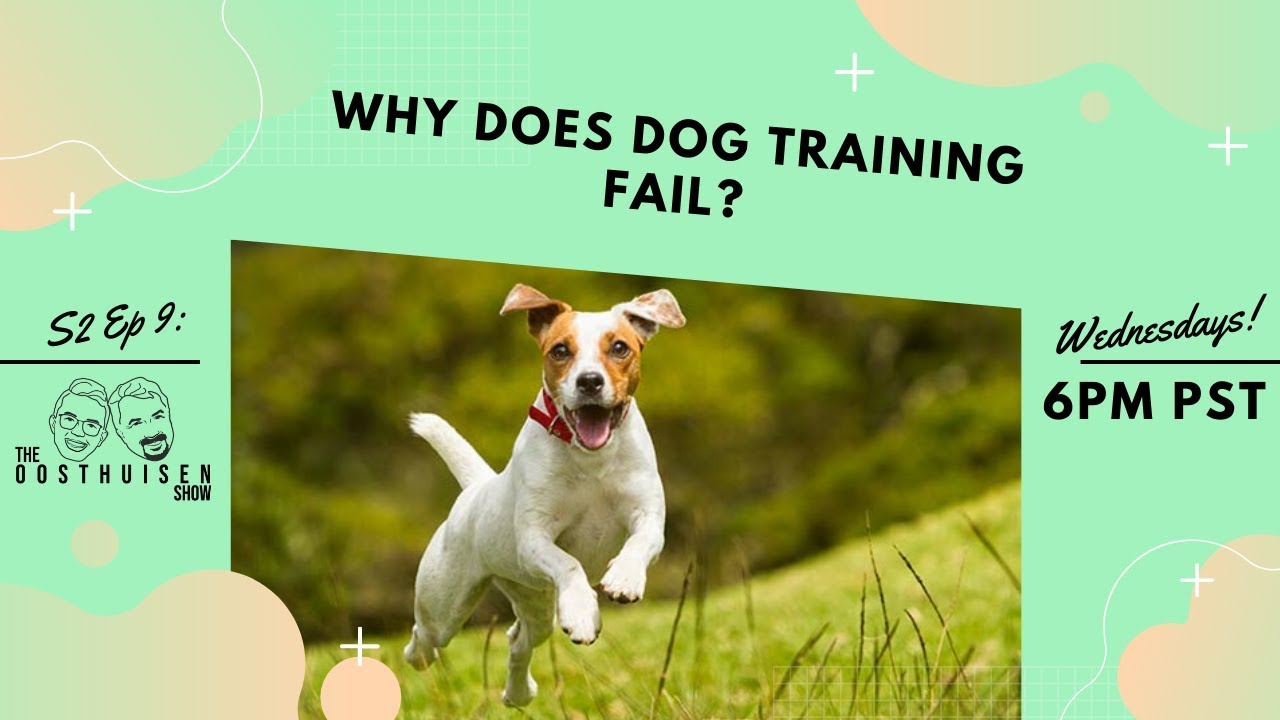 S2 Ep 9: Why does training fail?
