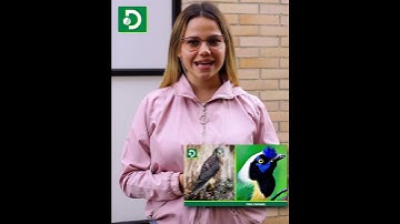 #OrienteAntioqueño ¦ Las tres noticias de esta semana, aquí, en nuestro #ResumenSemanal
