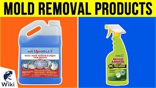 10 Best Mold Removal Products 2019