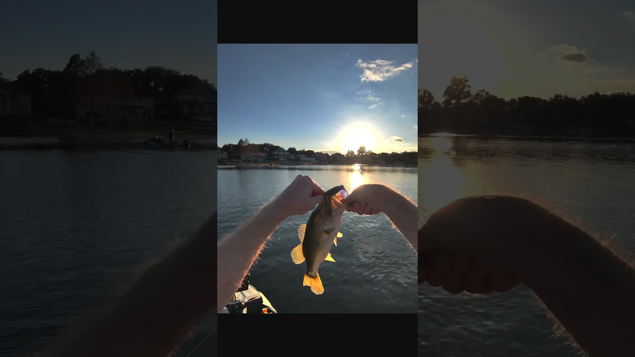 👆first cast magic fishing compilation of 3 months of fishing on the bottle chain