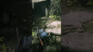 How to Become a Viking in RDR2 | PS5