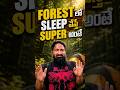 Forest లోsleep వేస్తే superఅంతే #pareshanboys #imran #babbu #forest #nature #camping #village #peace