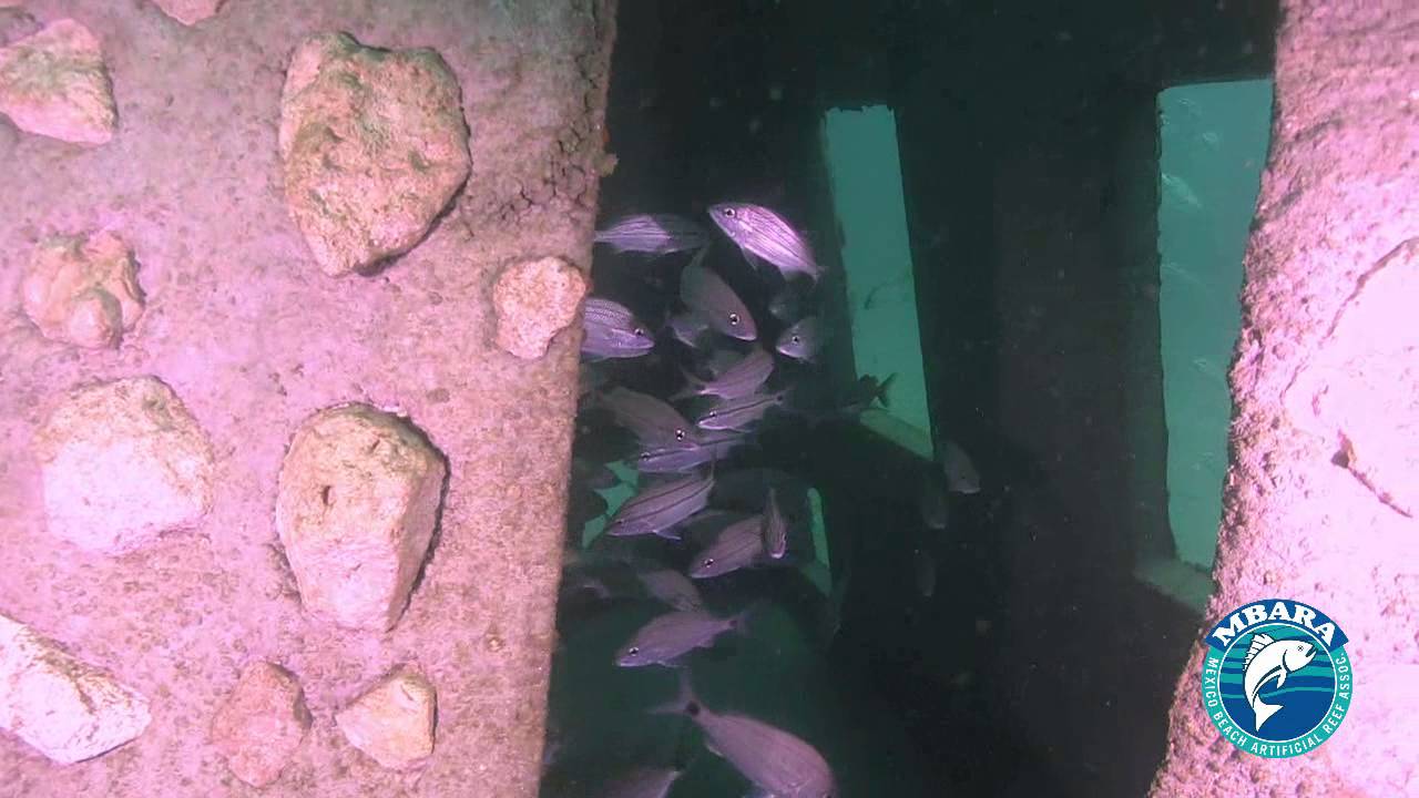 mexico primera division MB 180 James Swiger Memorial Reef 10 and 24 May 2016