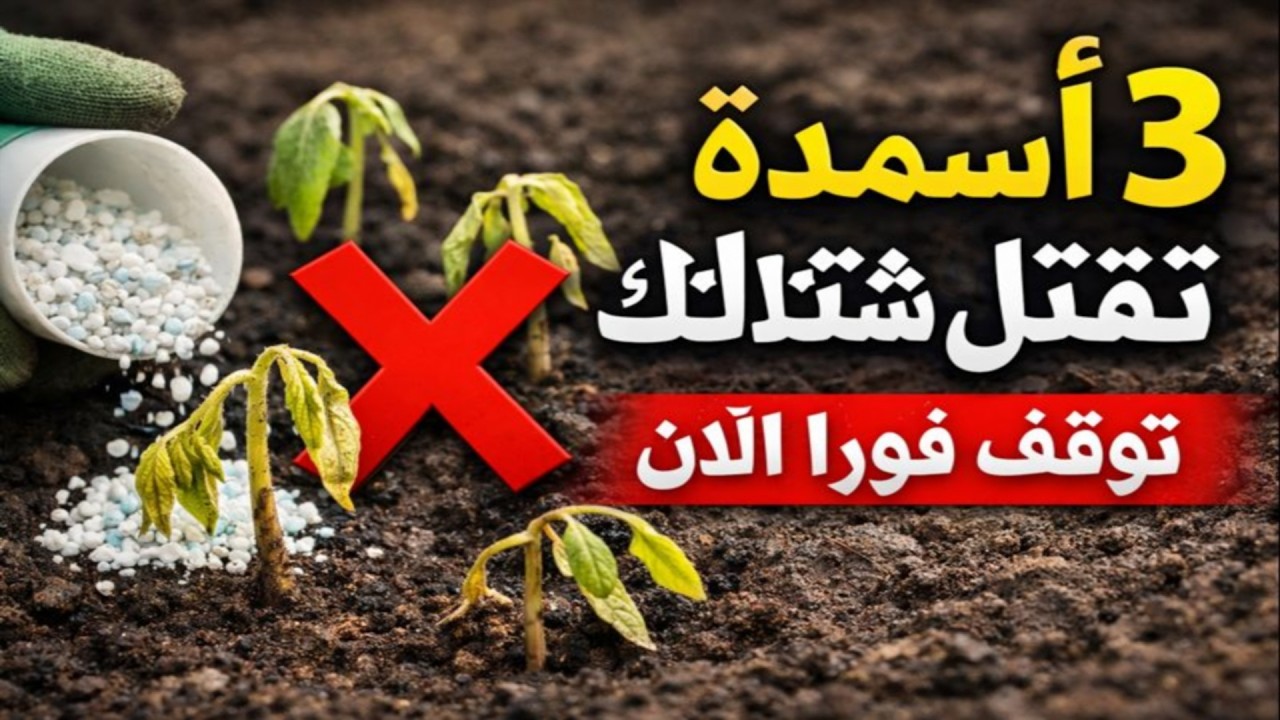 ثلاثة أسمدة تقتل شتلاتك الصغيرة! توقف عن هذا الخطأ فوراً