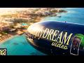 Overview of flyDREAM videos to get acquainted