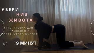УБЕРИ НИЗ ЖИВОТА|тренировка для плоского живота|9минут