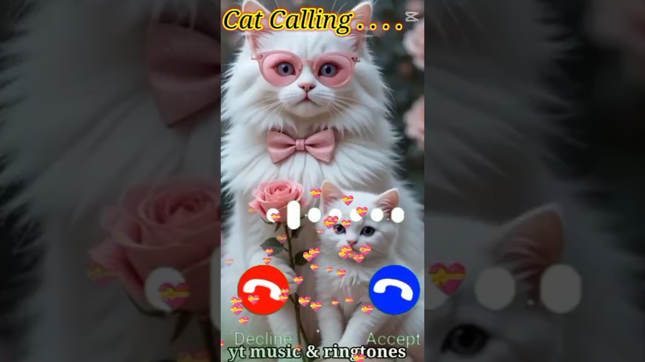 Mi calling ringtone 