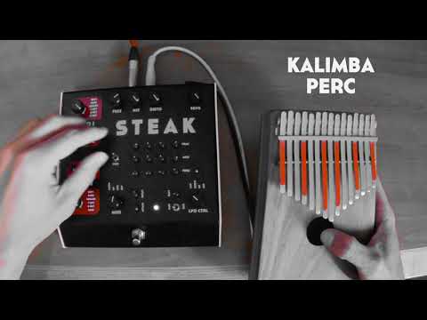 Glou-Glou "Steak" / Kalimba Trip