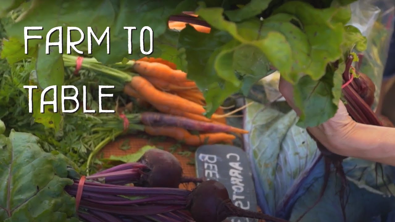 Regenerative Farm to Table on Vancouver Island - Explore Nanaimo 360°