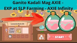 Ganito Kadali Mag Axie - EXP at SLP Farming - Axie Infinity