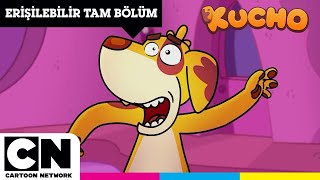 Kucho Hafıza Sarayı Eri̇şi̇lebi̇li̇r Tam Bölüm