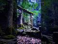 #皇大神宮 #天照大御神 #伊勢神社