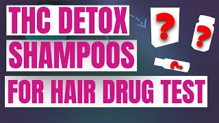 Best Hair Detox Shampoo for Passing a Hair Follicle Drug Test Reviewed