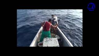 صيد سمك التونة الصفراء بابسط الطرق