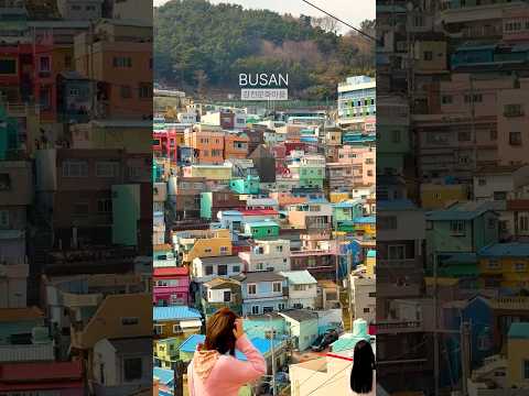 외국인들이 가장 놀라는 부산 여행지 TOP