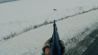 HARE HUNTING IN THE SNOW. FOX HUNTING