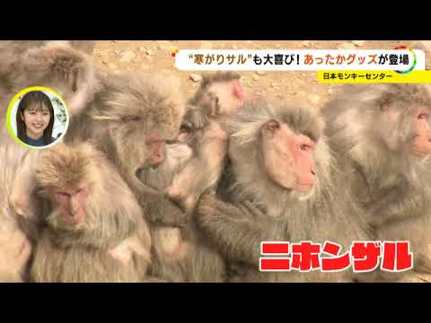 The strongest cold wave hits the three Tokai prefectures, with the