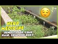 New HERB SERIES!! - Medicines, Ayurveda, Plants and more