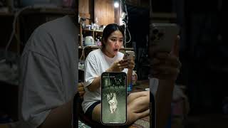 ติดกล้องแอบดูหมาอยู่บ้านคนเดียว เจอชิสุตัวป้อมเป็นเจ้าพ่อปกครองทั้งซอย!