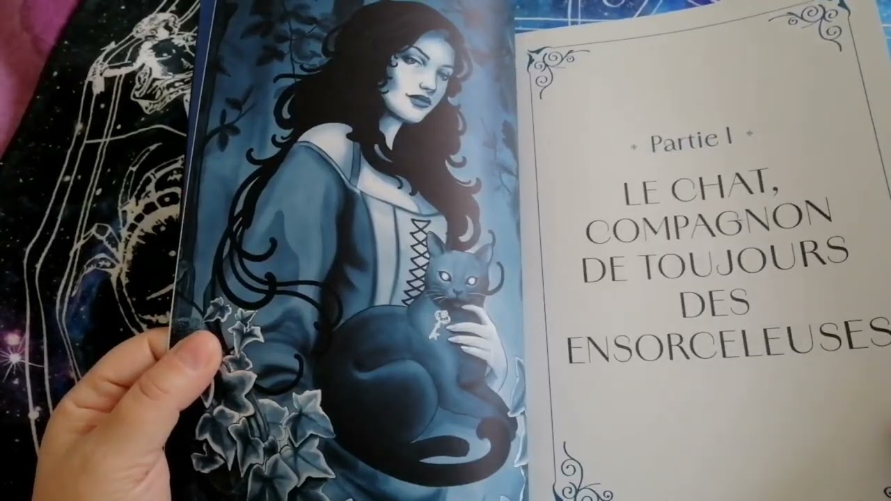 La magie des CHATS les familiers des sorcières de Fanny Bailly et Illustré par Elie Hammond 