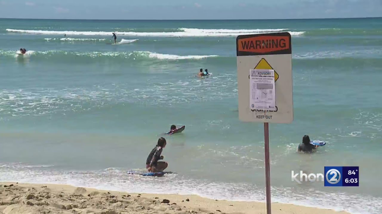 City Ewa beaches safe after fecal bacteria found in water YouTube