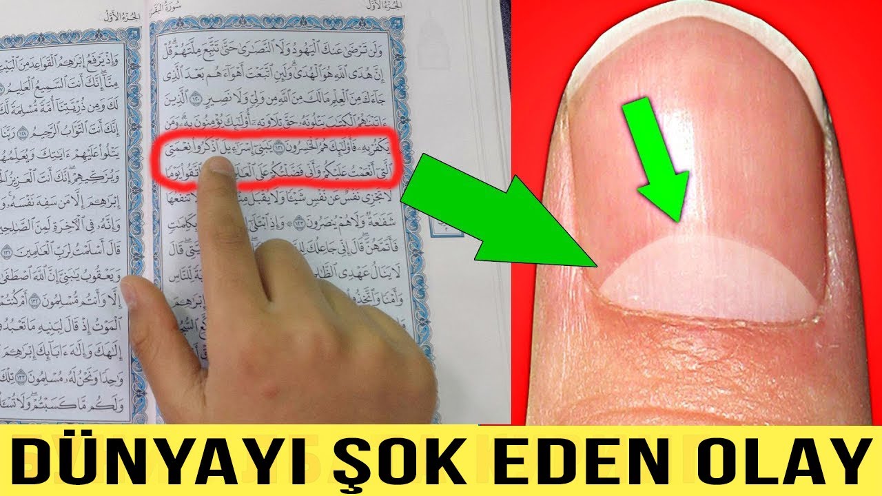 BÜTÜN MÜSLÜMANLAR BUNU BİLMELİ ! Kuran-ı Kerim Bahsettiği Etkileyici Mucize.