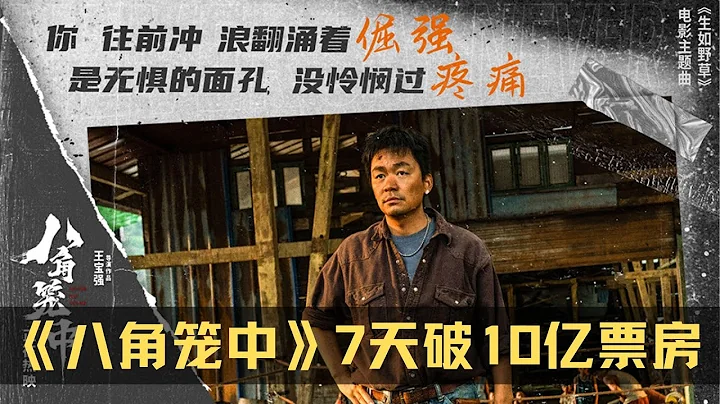 《八角笼中》7天破10亿，王宝强打脸资本，让马蓉后悔都来不及 - 天天要闻