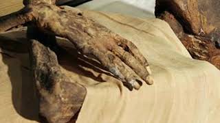 firon ki lash - YouTube