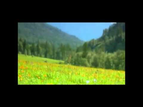 \"ობიექტივის\" ჰიმნი