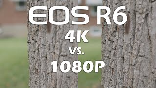 Canon EOS R6 | HD vs 4K HQ Oversampled
