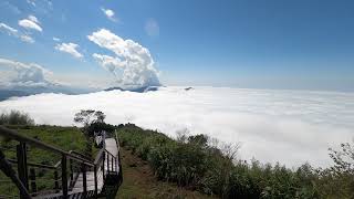 2022.02.04 阿里山 雲海縮時攝影 二延平步道 隙頂 4K by Gopro8 | Alishan Eryanping Trail (0.5秒\/張)