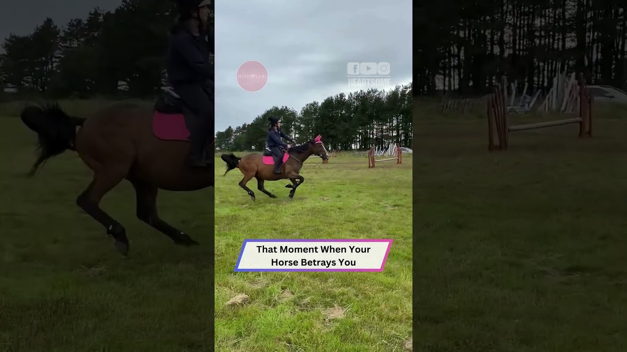 When Your Horse Has a Sense of Humor | Heartsome 💖