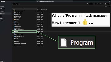 What is “Program” in Task Manager Startup Tab, How to remove it ?