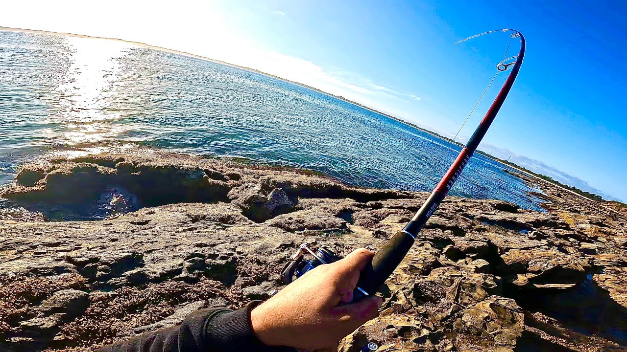 I DID NOT EXPECT TO CATCH A FISH THIS SIZE!! - YouTube